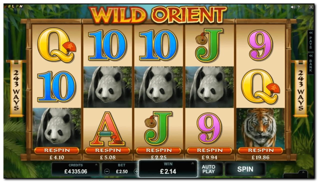 505% Match bonus casino at Come On Casino