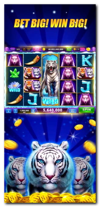 95% No Rules Bonus! at No Bonus Casino
