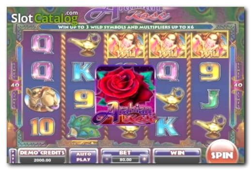 €1250 No deposit at Euro Palace Casino