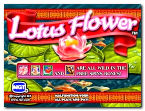 $400 Free Casino Tournament at No Bonus Casino