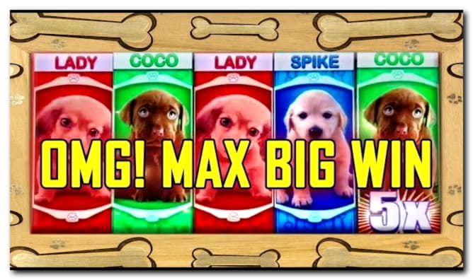 £830 Free Casino Tournament at Ruby Fortune Casino