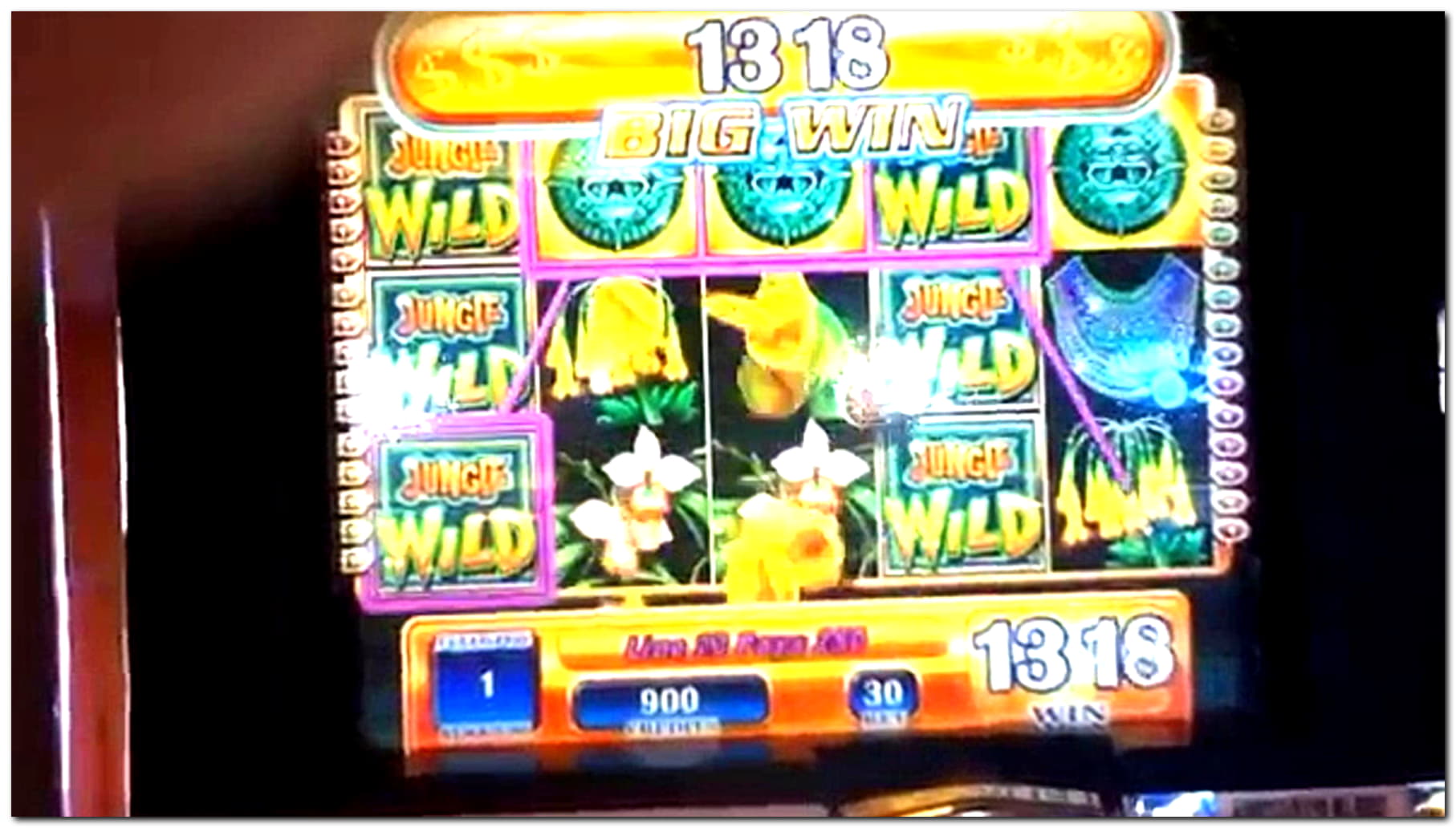 735% First Deposit Bonus at Ignition Casino