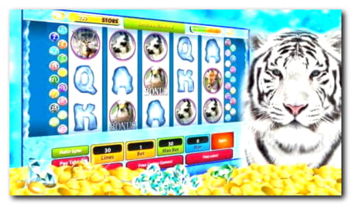 EUR 4195 No Deposit Bonus Casino at Cafe Casino
