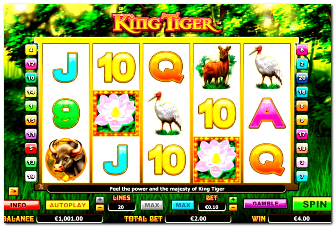$555 No Deposit Bonus Code at LV Bet Casino