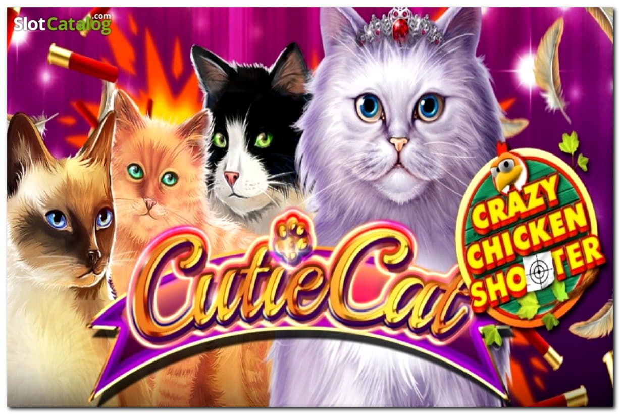 530% Deposit match bonus at No Bonus Casino