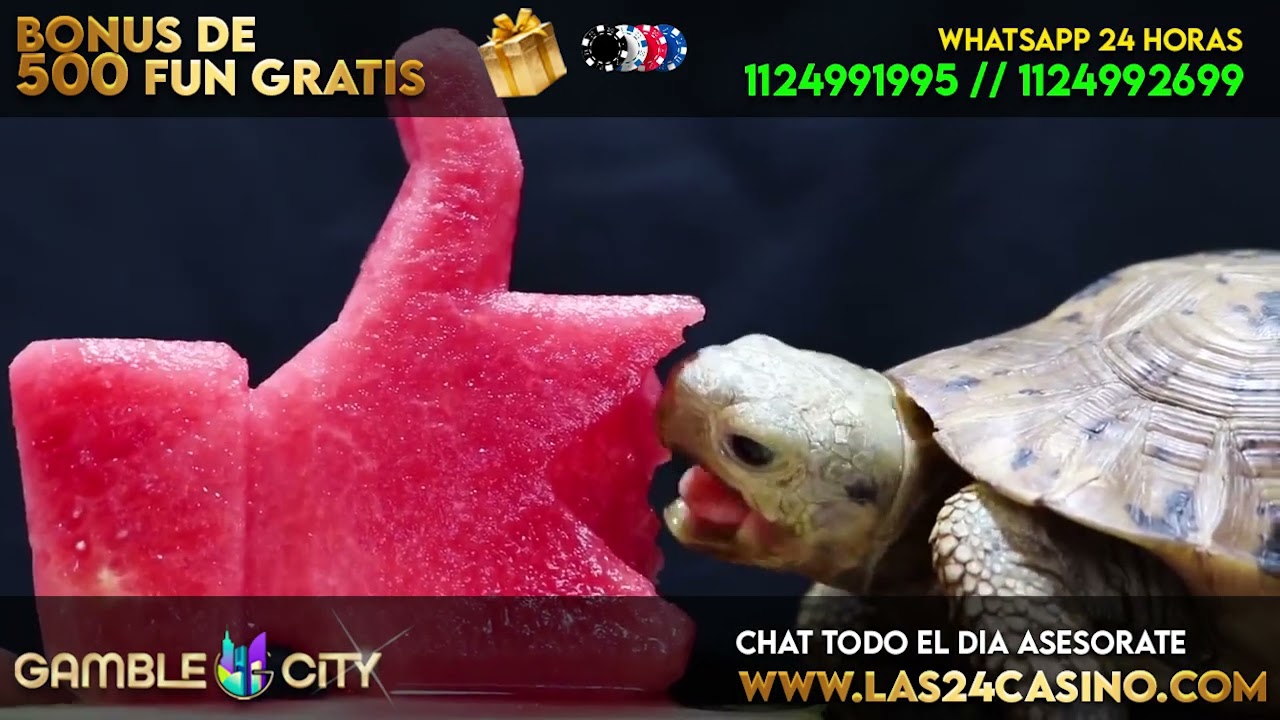 ??? La mascota mas ?simpática? de GambleCity Argentina, la ?Tortuga Ricardo!? ???